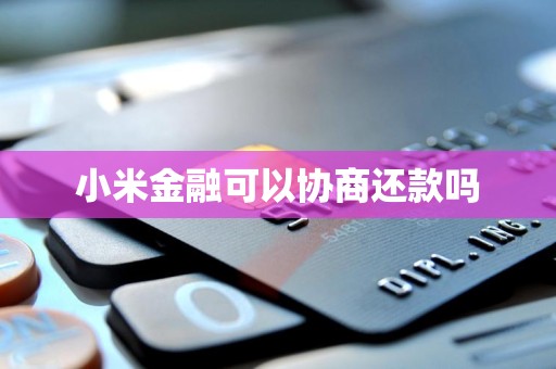 小米金融的還款協(xié)商機(jī)制與金融信息咨詢服務(wù)解析